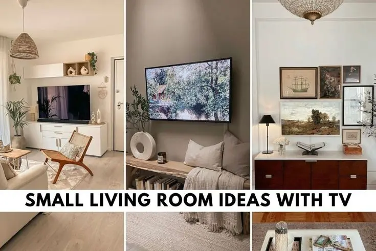 Small Living Room Ideas with TV